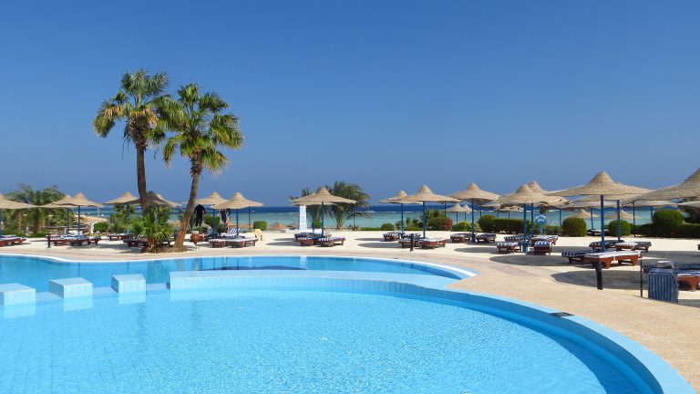 Build Your Dream Pool With Egret Swimming Pool Construction Services